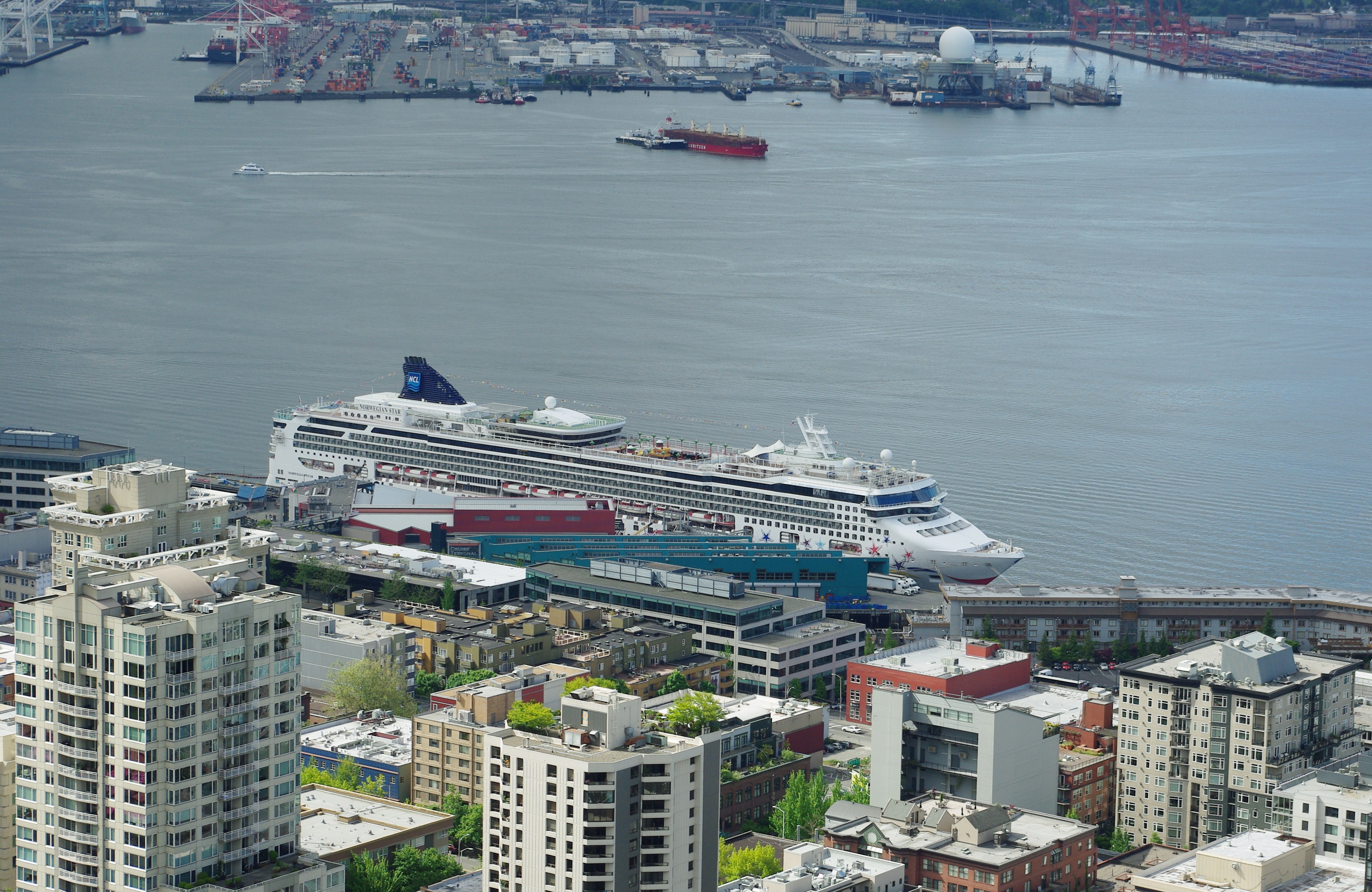 A large cruise ship docked at the Seattle waterfront with the city skyline behind it.